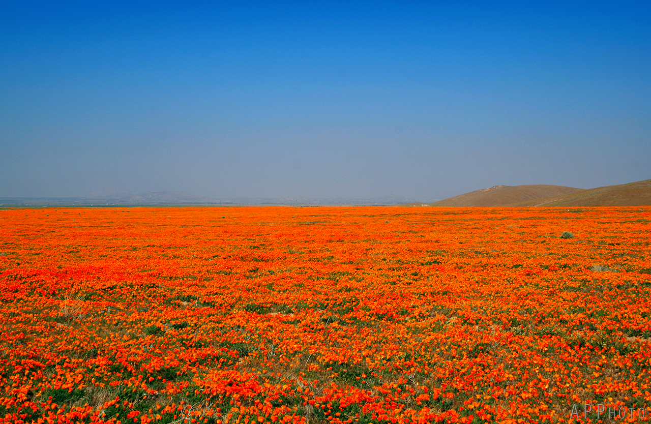 Antelope Valley 2