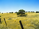 centralvalley