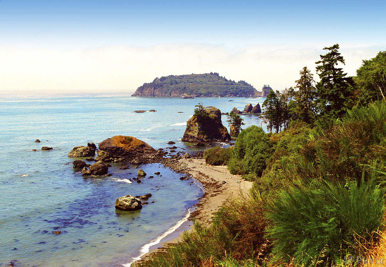 humboldt trinidad 5