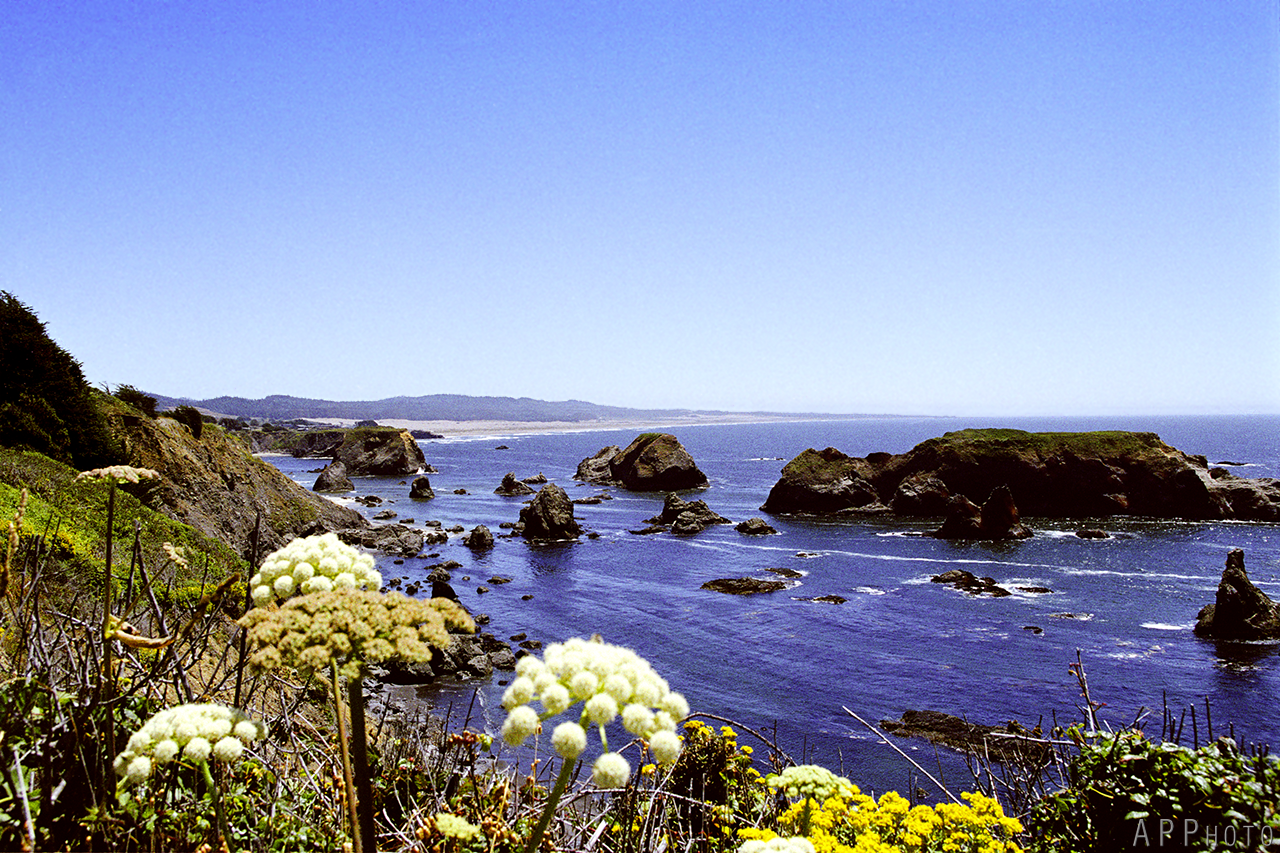 mendocino coast1