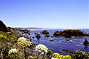 mendocino1