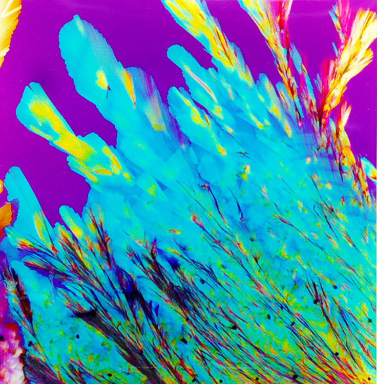 Methylene Blue