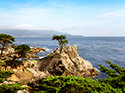 monterey1