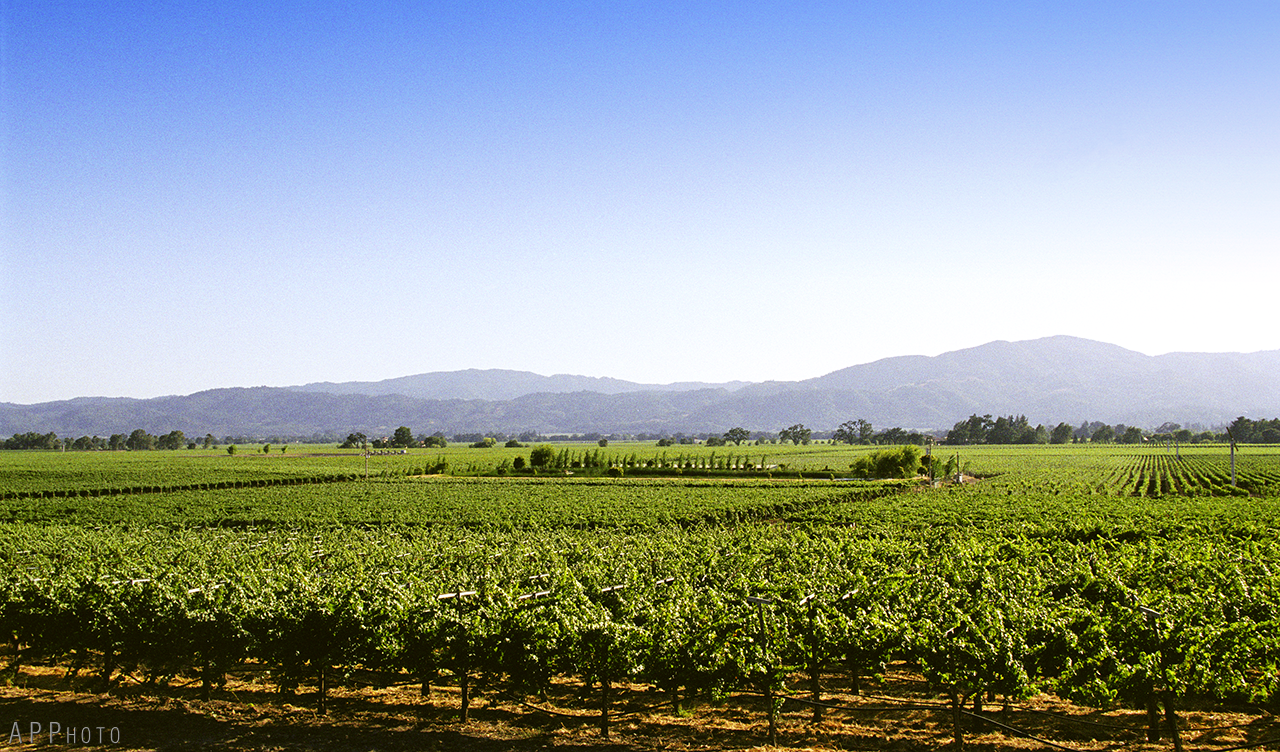 napa2