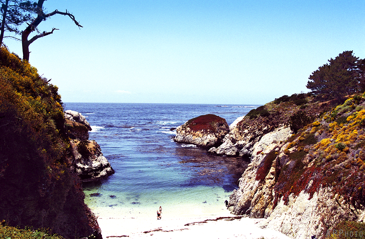 Point Lobos 1