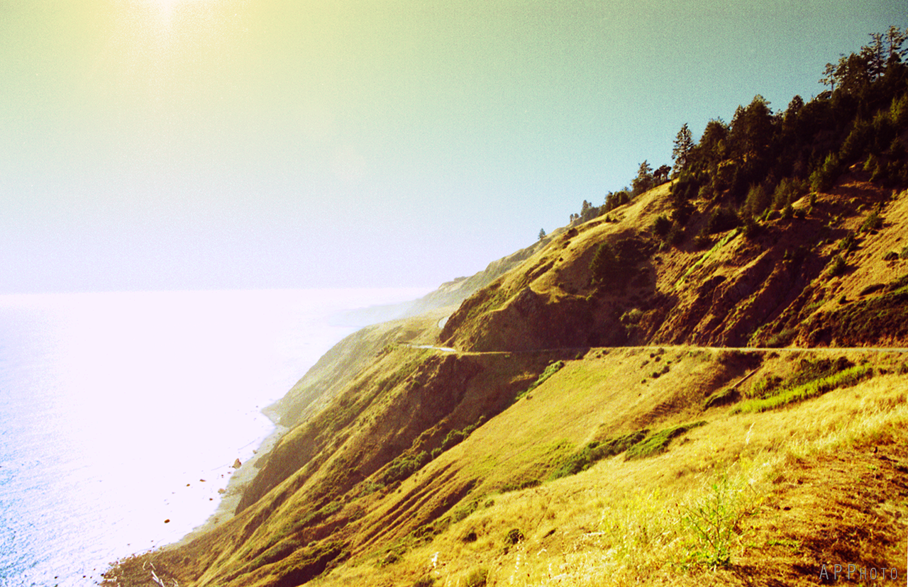 sonoma coast