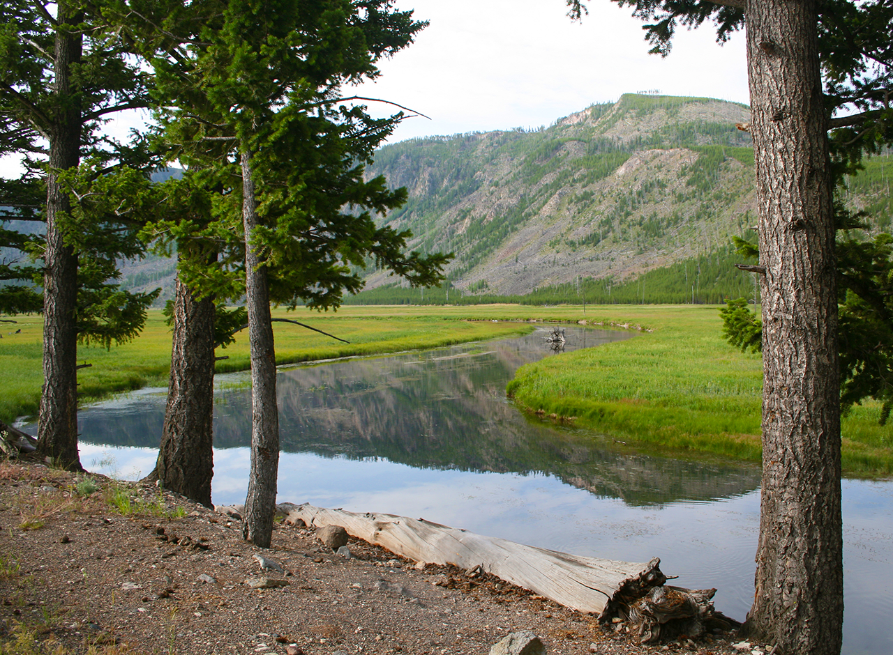 Yellowstone2