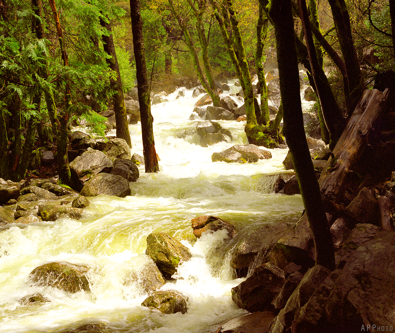Yosemite 57