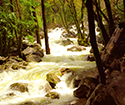 yosemite57