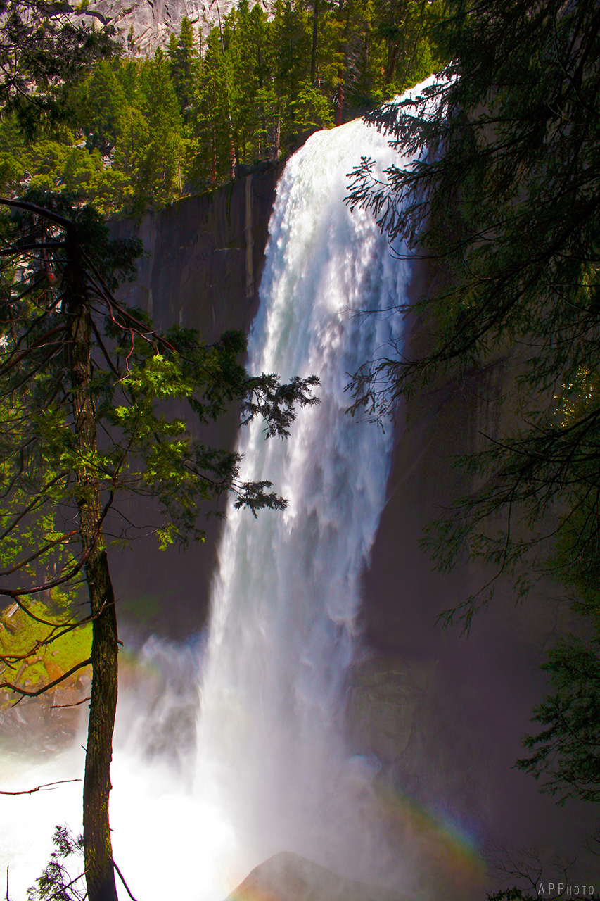 Yosemite 7