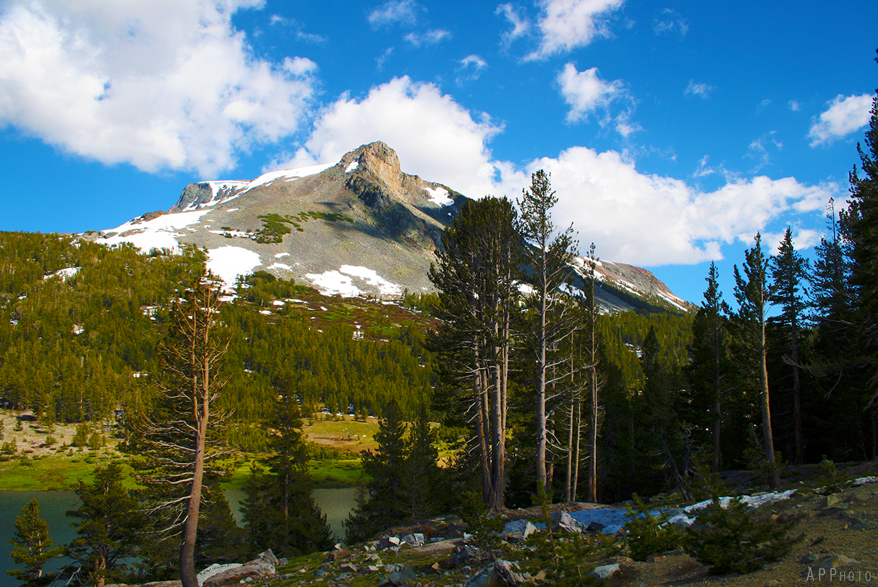Yosemite Tioga Pass 2