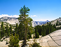 yosemitetioga2