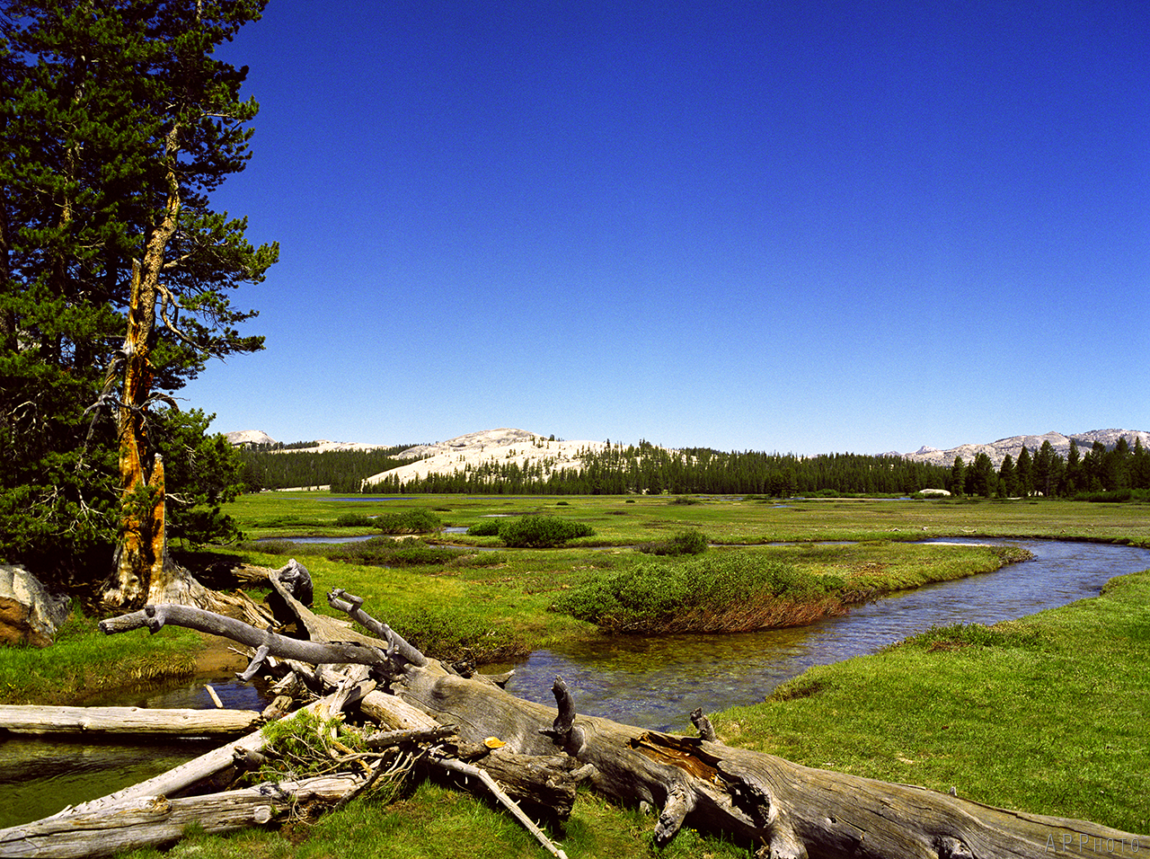 Yosemite Tuolomne Meadows 2